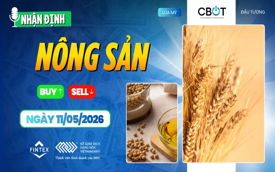 NHẬN ĐỊNH THỊ TRƯỜNG NÔNG SẢN NGÀY 11/05/2026
